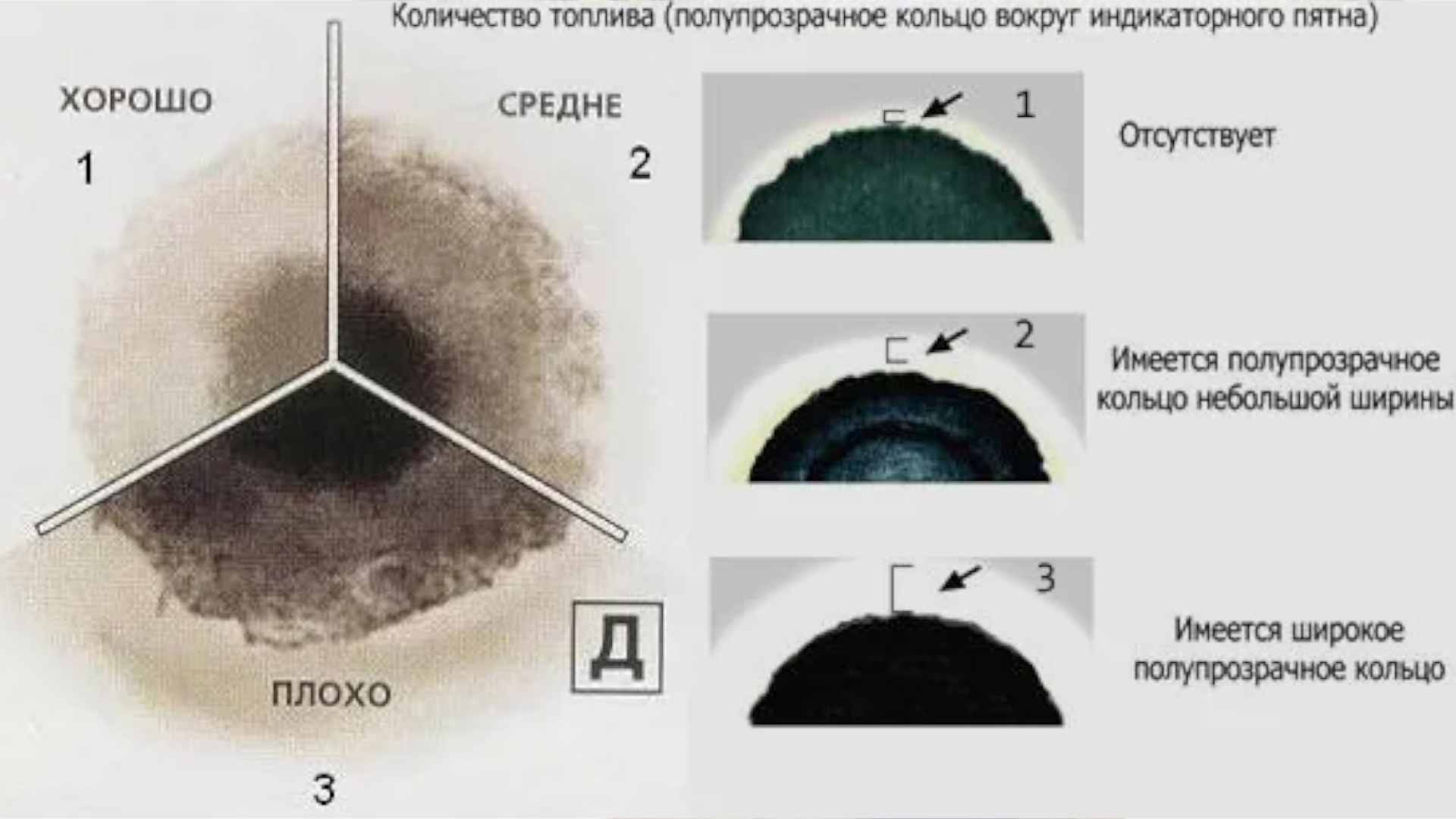 Разница очевидна даже неспециалисту.
