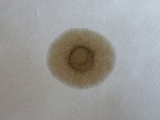 50314_03.jpg 50314_03.jpg